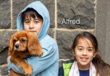 Meet the market mutts