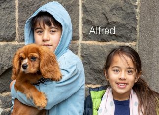 Meet the market mutts