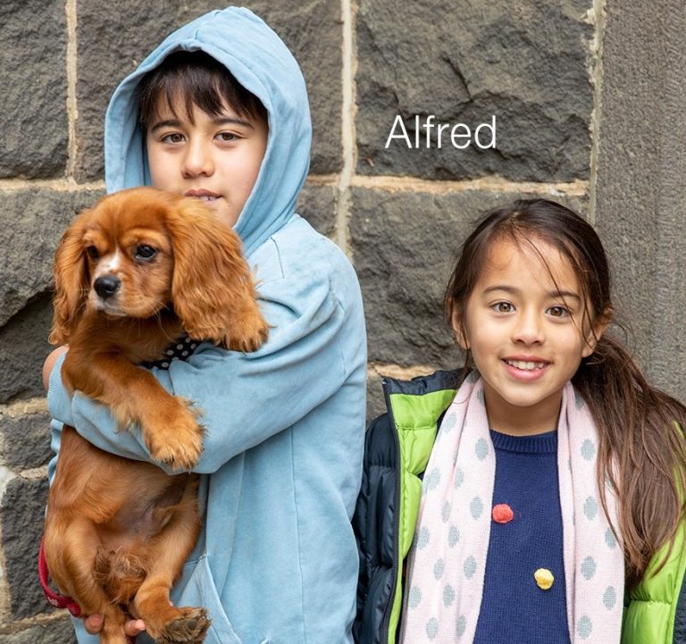 Meet the market mutts