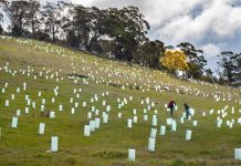 Everything begins with an idea