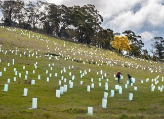 Everything begins with an idea