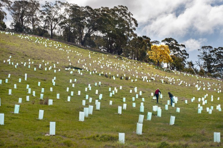 Everything begins with an idea