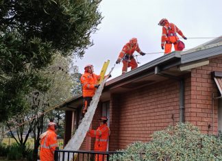 Storm recovery ongoing