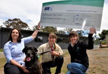 Cheque brings welcome paws for thought