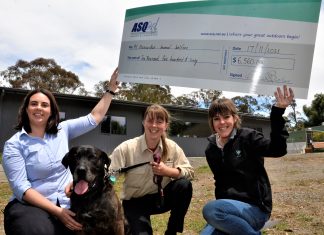 Cheque brings welcome paws for thought