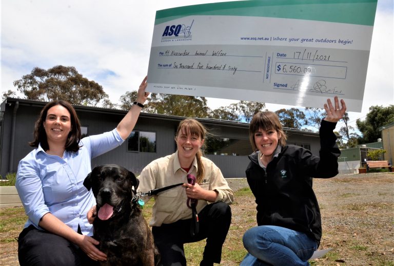 Cheque brings welcome paws for thought