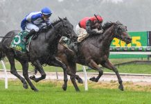 Cup goes to Indiana Lilly