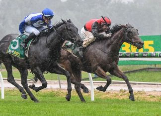 Cup goes to Indiana Lilly