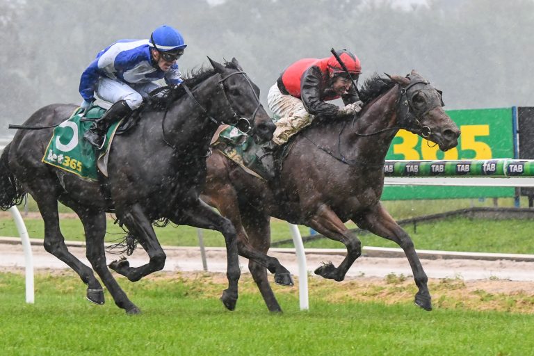 Cup goes to Indiana Lilly