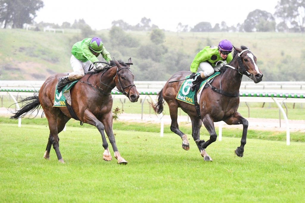 Local winners – spectators back