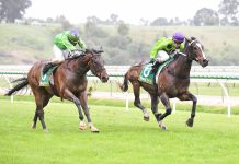 Local winners – spectators back