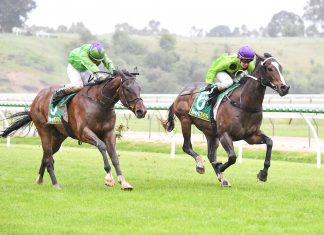 Local winners – spectators back