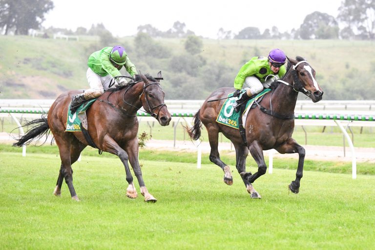 Local winners – spectators back