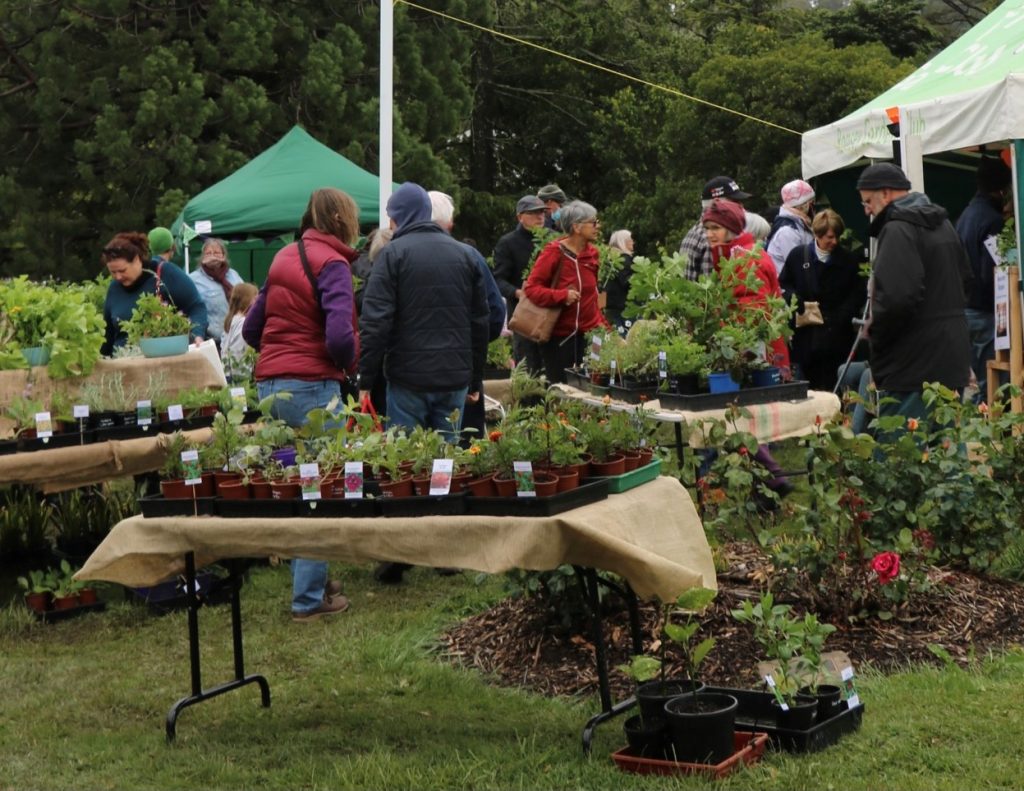 Plant sale fundraiser a success