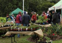 Plant sale fundraiser a success