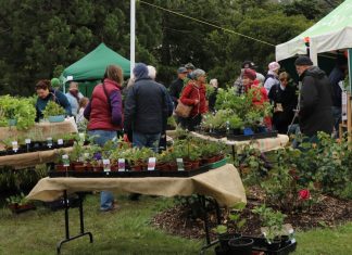 Plant sale fundraiser a success