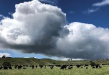 Increase the health of your farm