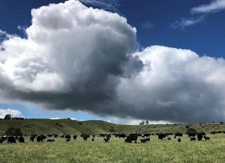 Increase the health of your farm