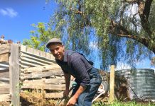 Excited about compost?