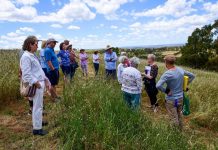 Residents dark on solar farm