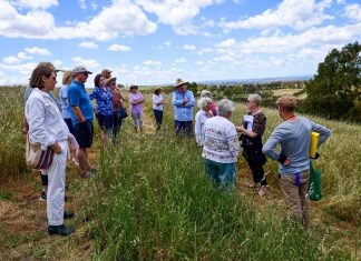 Residents dark on solar farm