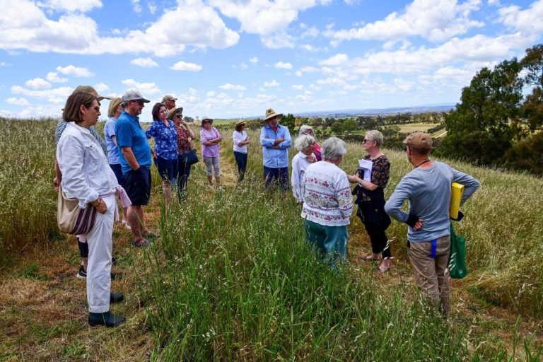Residents dark on solar farm