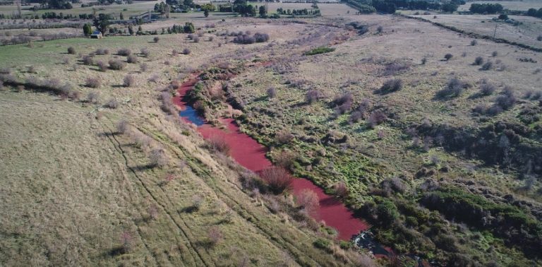 Meeting labelled a sham