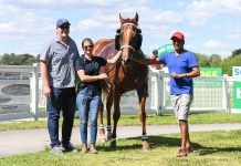 Five winners a record