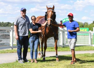 Five winners a record