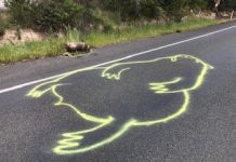 ‘Road graffiti’ message