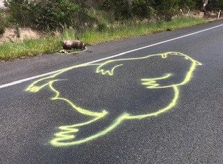 ‘Road graffiti’ message
