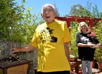 Barry’s bonsai classes are back