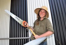 House’s handy courses