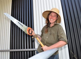 House’s handy courses