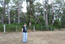 Fuel load fears in Woodend