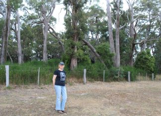 Fuel load fears in Woodend