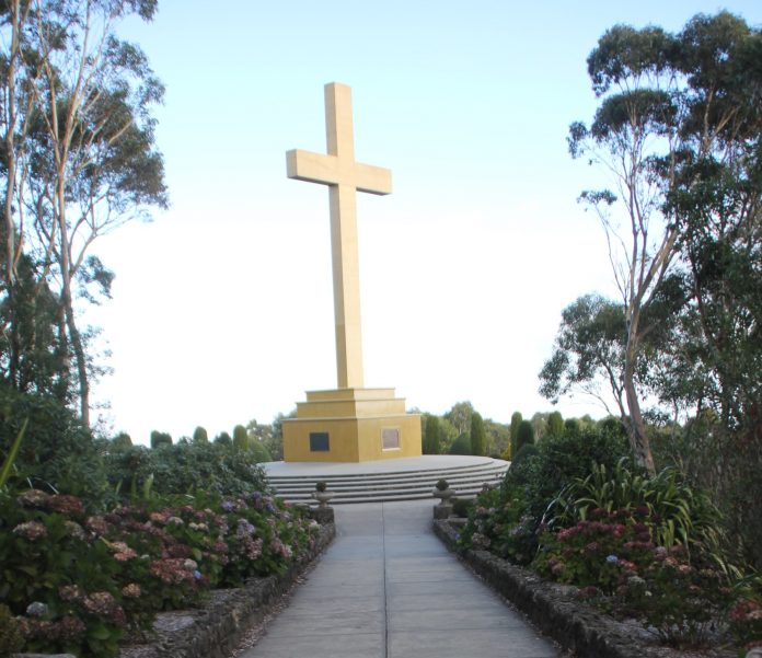 MountCross 2 crop