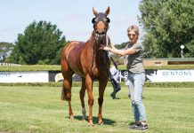 ‘Gem’ tops $100,000 mark