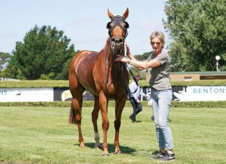 ‘Gem’ tops $100,000 mark