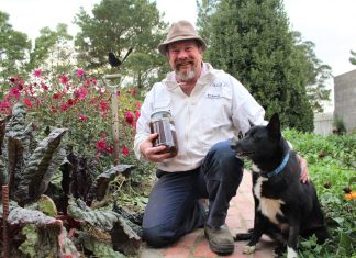 A leader in sustainability