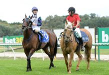 Irish jockey’s first win here