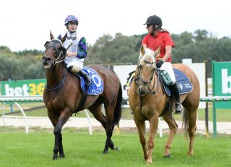 Irish jockey’s first win here