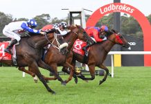 Lovin’ Laughs brings joy