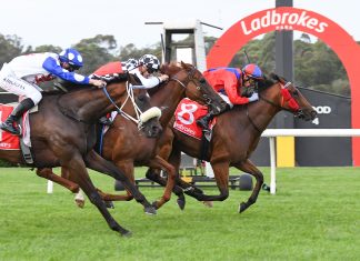 Lovin’ Laughs brings joy