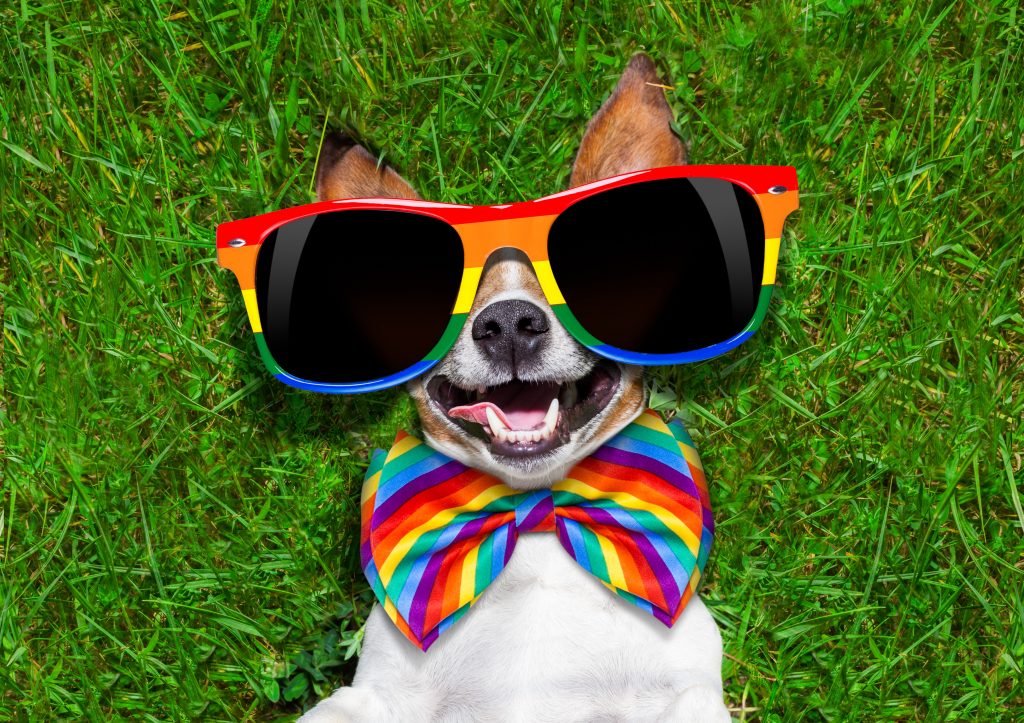 Volunteers bring rainbow love