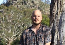 Music, food, art and more