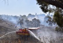 Watch and act for Harcourt