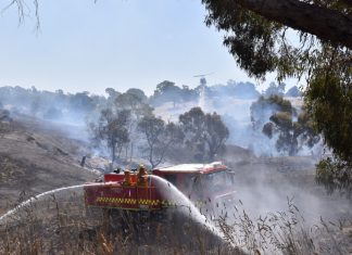 Watch and act for Harcourt