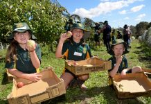 Getting the crunch on where food’s from