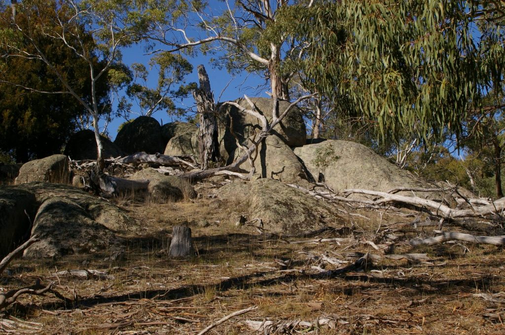 Unique events to launch